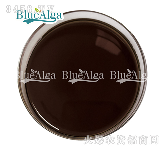 魚蛋白（液體）-青島藍(lán)寶