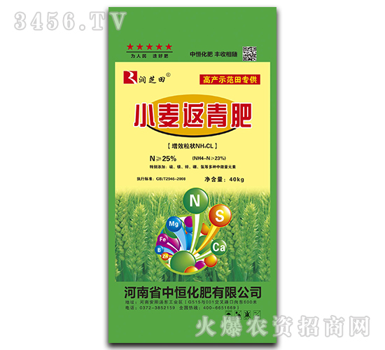 С��������-��֥��-�к�