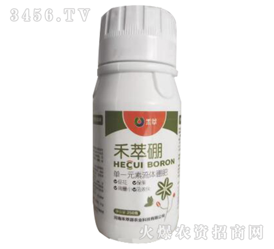 ������-��һԪ�����w���-����