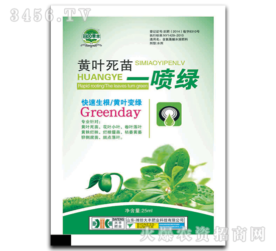 �S�~����һ���G-��@���S-���S�ʘI(y��)