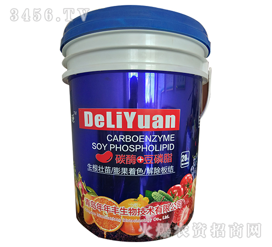 ̼ø+����֬-�����S