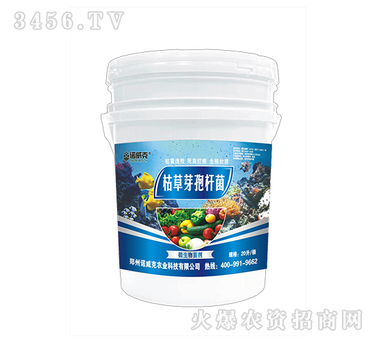 �ݲ�ѿ�ߗU��-�Z����