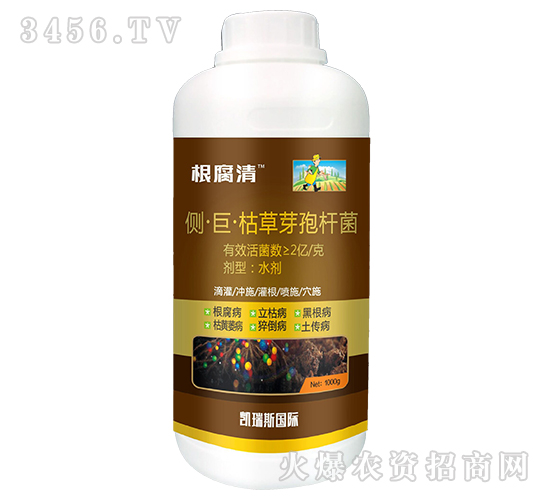 側·巨·枯草芽孢桿菌-根腐清-凱瑞斯