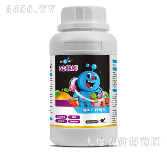 ����⛣�Ͱ�b��-�L(zh��ng)ɭ����