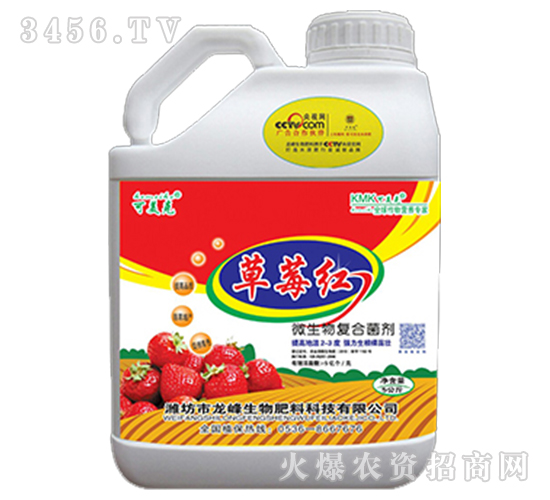 ��ݮ�t-��������