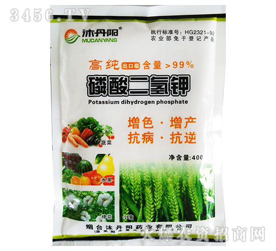 ��������-�嵤�