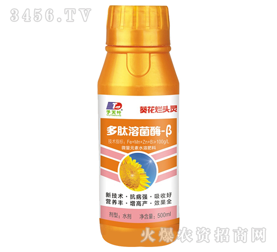 �����ܾ�ø-��-�������^�`-���~����