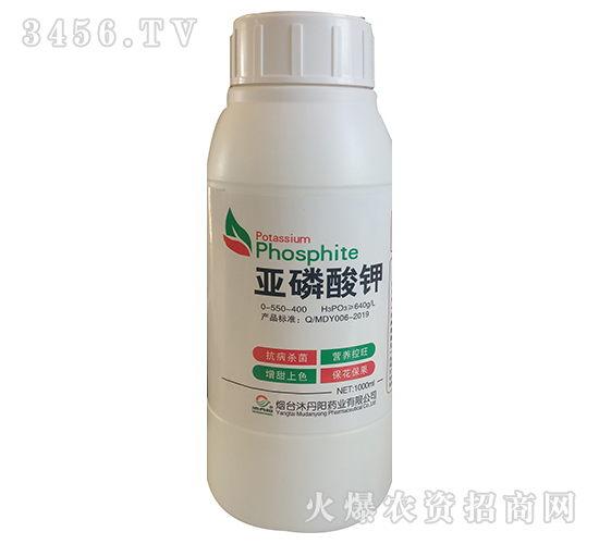 �������-�嵤�