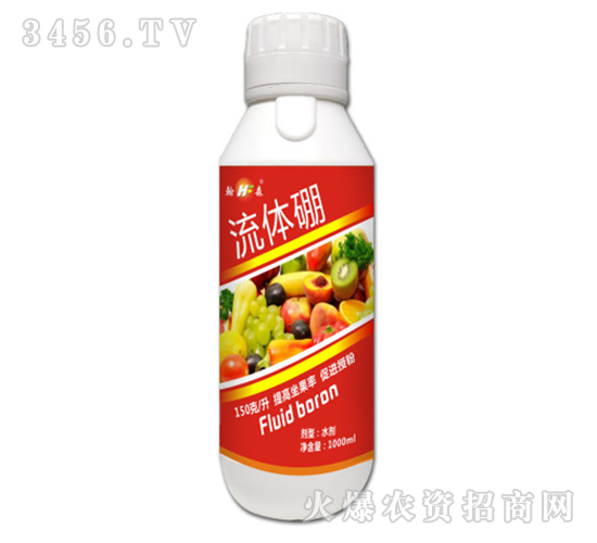 ���w��-���S����