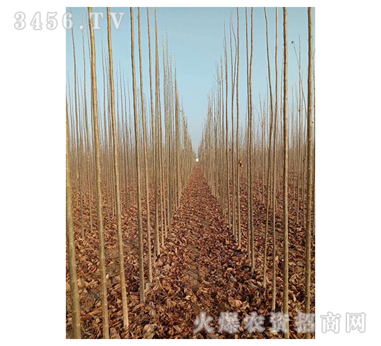 2020��鱘�(sh��)ӆ�λ����(xi��ng)Ŀ16