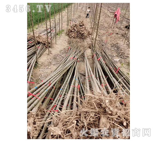 2020��鱘�(sh��)ӆ�λ����(xi��ng)Ŀ17