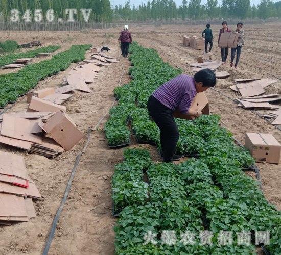 2020��鱘�(sh��)ӆ�λ����(xi��ng)Ŀ8