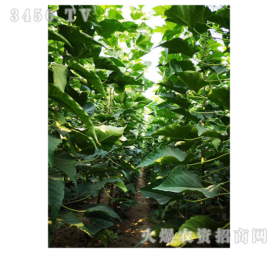 2020��鱘�(sh��)ӆ�λ����(xi��ng)Ŀ6