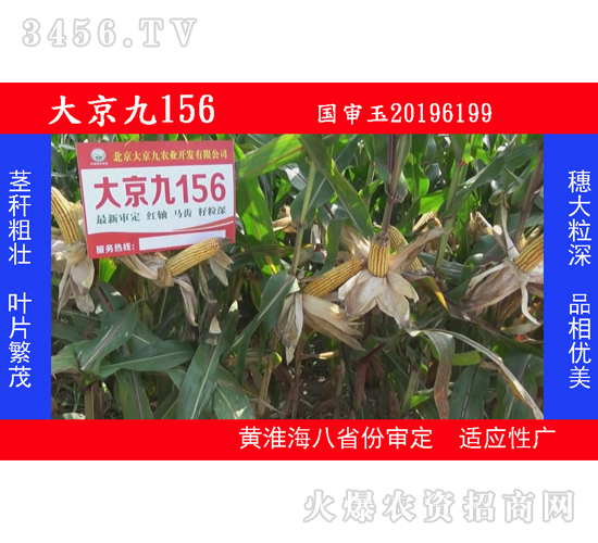 �󾩾�156-���׷N��-�󾩾�