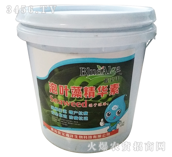 泡葉藻精華素-藍(lán)寶灃-青島藍(lán)寶