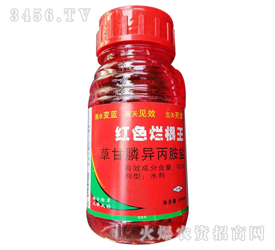 62%草甘膦異丙胺鹽水劑-紅色爛根王-歐迪亞