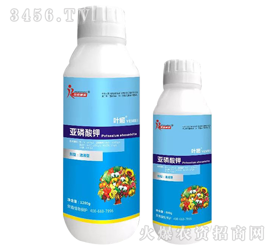 �������-�~��-�s��