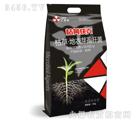 �ݲݡ�����ѿ�ߗU��-���S���-�R���S