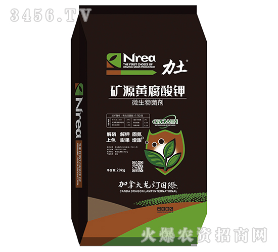 �VԴ�S�����-����-����