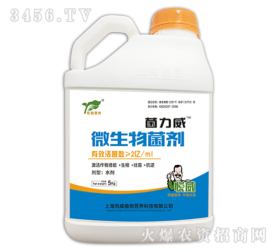 ΢�������-������-����