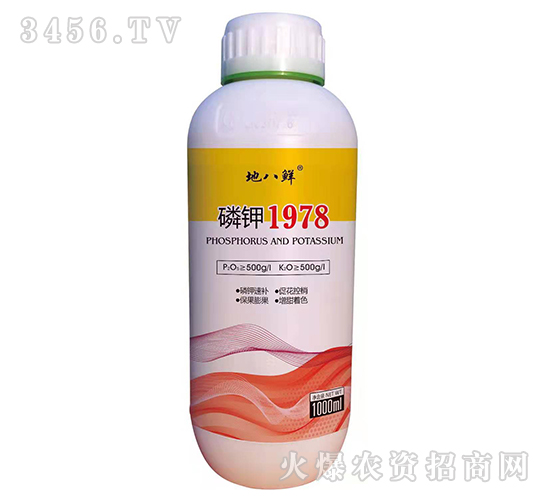 ���1978-�ذ��r-��Խ����