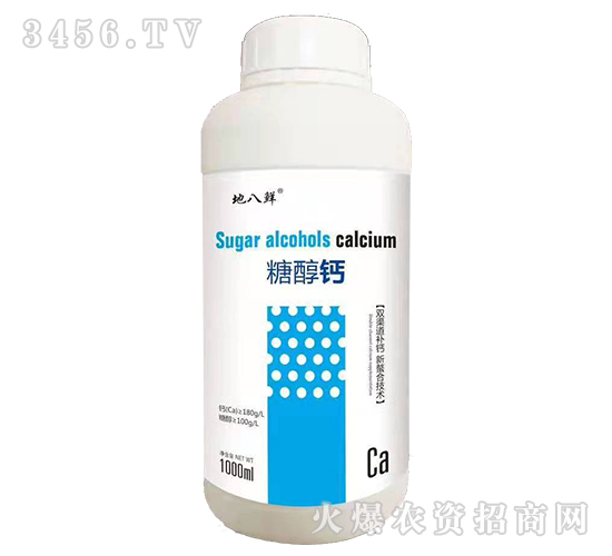 �����Ǵ��}-�ذ��r-��Խ����