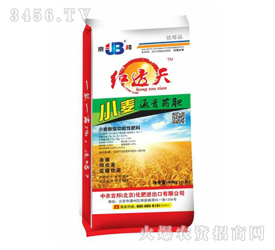 小麥返青藥肥-紅透天-中農(nóng)吉邦
