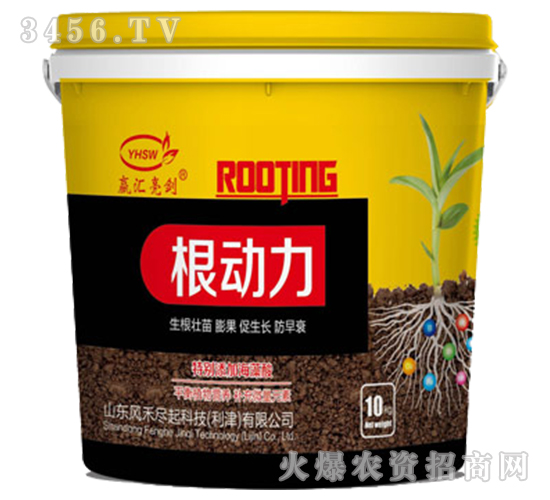 根動(dòng)力-嬴匯