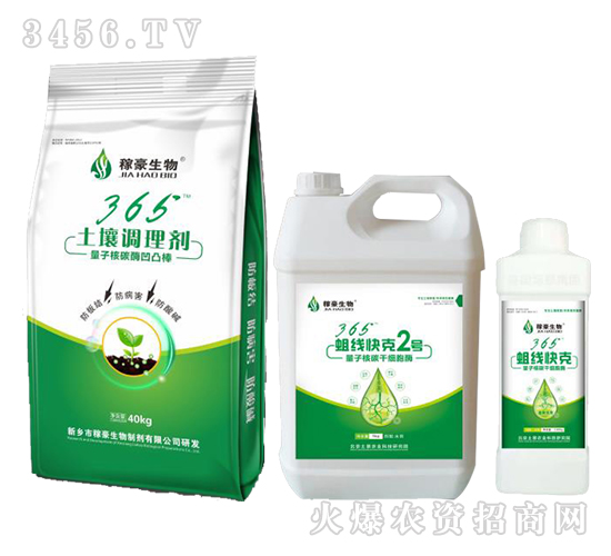 365�������3-�ں�����