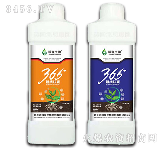 365�������2-�ں�����