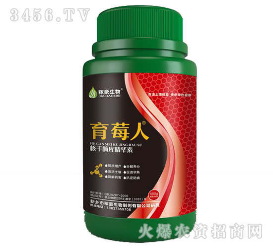 ��ݮ��-�ں�����