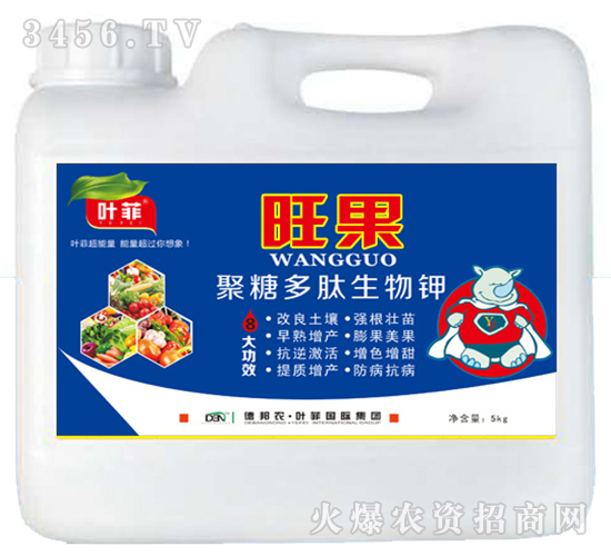 ���Ƕ��������-����-�°��r(n��ng)