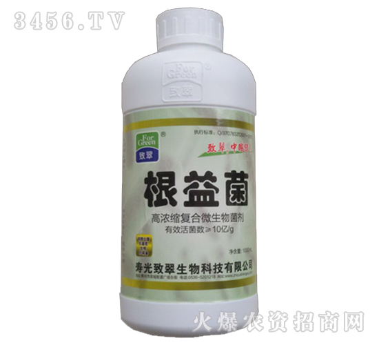 高濃縮復合微生物菌劑-根益菌-致翠生物