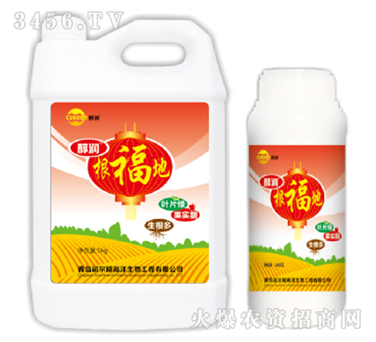 ������-����-�Z����