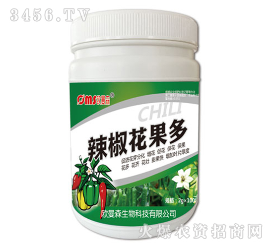 ����������-�W��ɭ