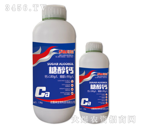 �Ǵ��}-�W��ɭ