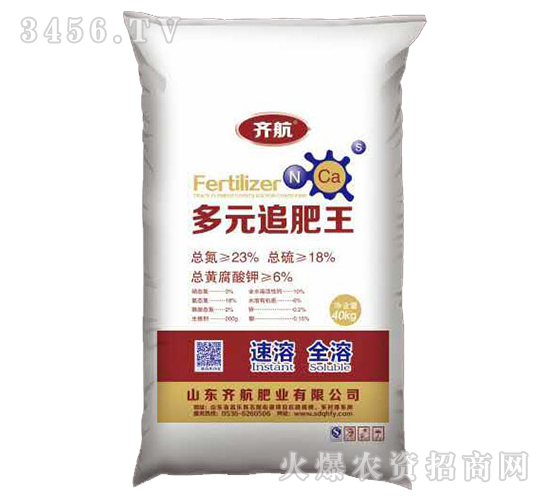 多元追施王-齊航