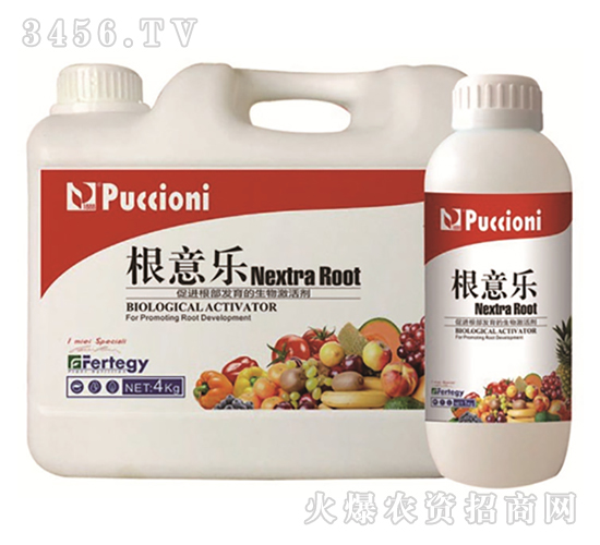 ���Ｄ�-���☷-����ؐ��