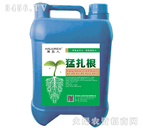 ������-������