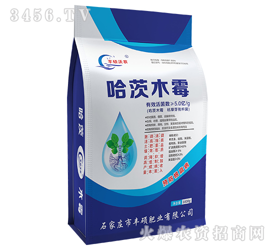 ����ľù-�S�T�ʘI(y��)