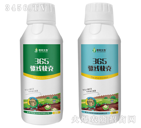 365�(q��)�����-�ں�����