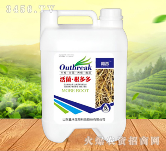 ����������-�κ�����