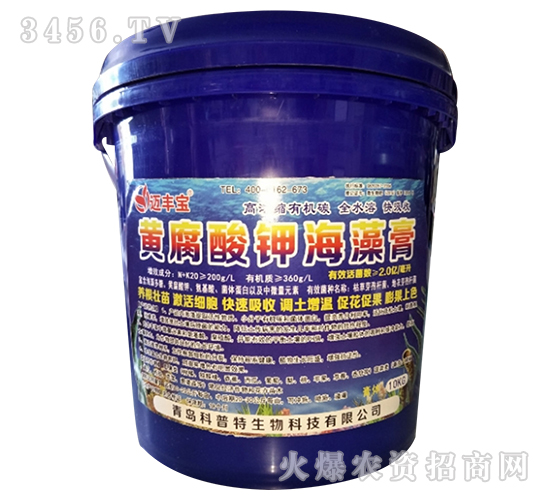 �S����⛺����-�~�S��-������