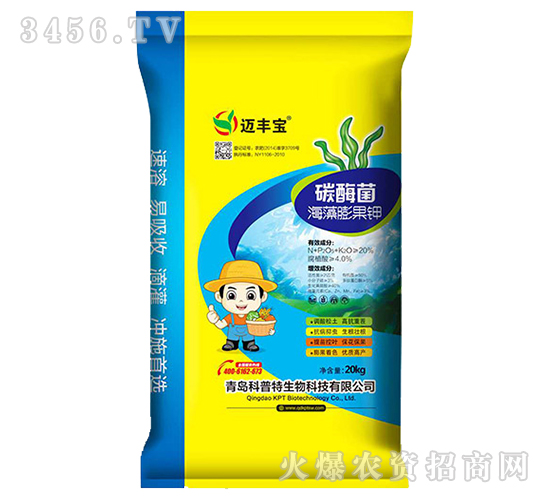 ̼ø����������-�~�S��-������