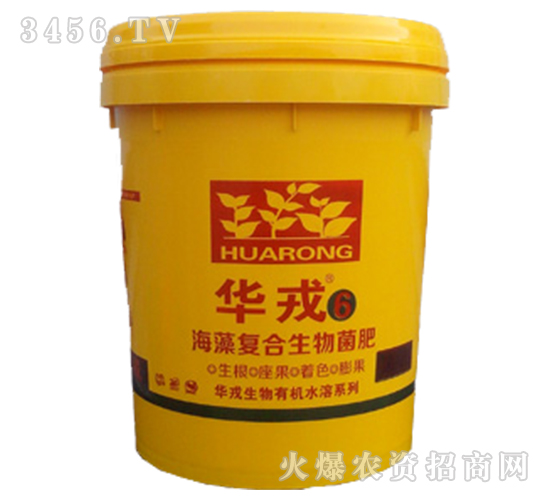 ����ͺ��������-�A��6̖-�����A��