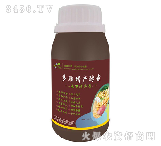 �������a�Ͷ������a����-׿�R��-׿���r�I(y��)