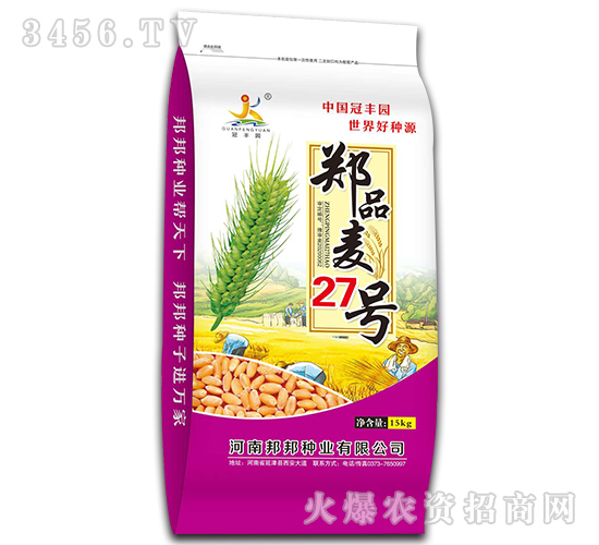 鄭品麥27號（15kg）-小麥種子-邦邦種業(yè)