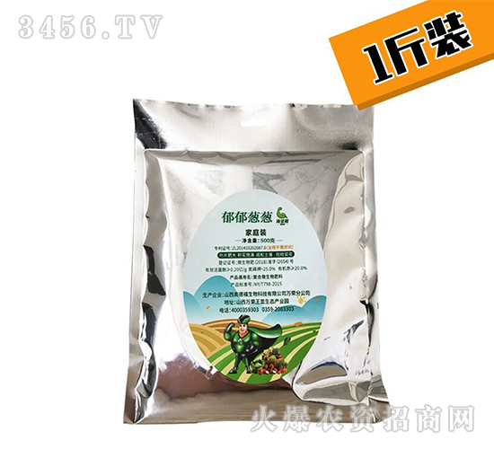 �����[�[-������-�W�¸�