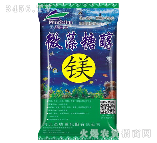 ΢���Ǵ��V-ʥ���m