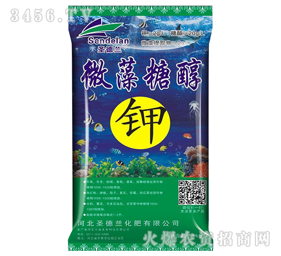 ΢���Ǵ��-ʥ���m